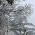 ご無沙汰でした