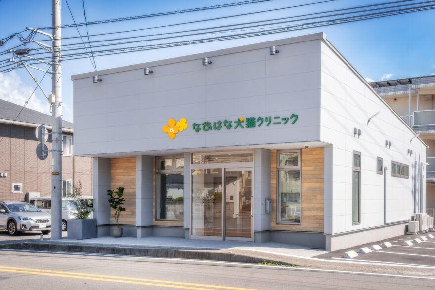 なのはな犬猫クリニック｜東温市｜動物病院1