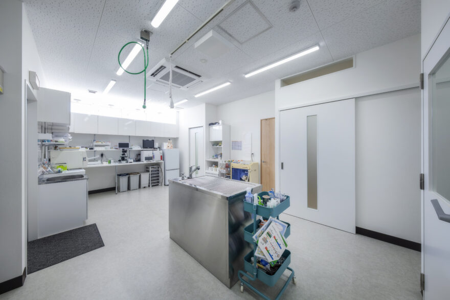 なのはな犬猫クリニック｜東温市｜動物病院7