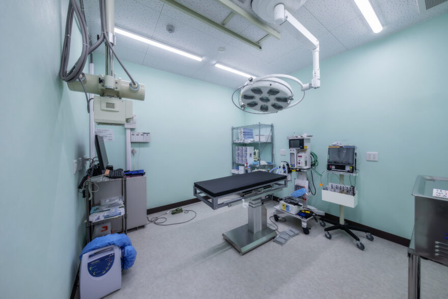 なのはな犬猫クリニック｜東温市｜動物病院9