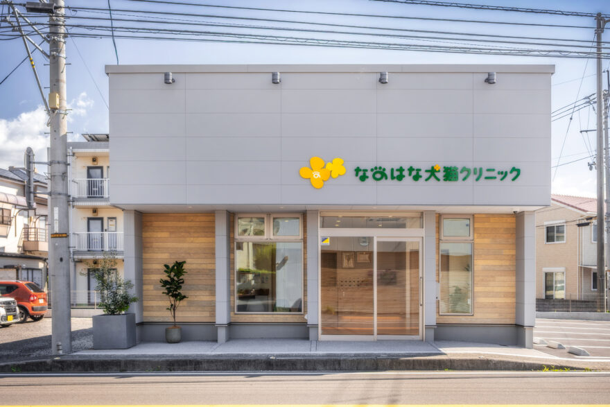 なのはな犬猫クリニック｜東温市｜動物病院