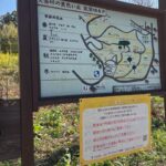 ゛黄色い丘　゛