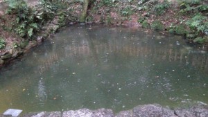 yaegaki_kagaminoike_4