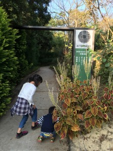 写真 H27-10-21 15 59 22