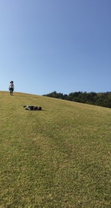 写真 H27-10-21 14 26 28