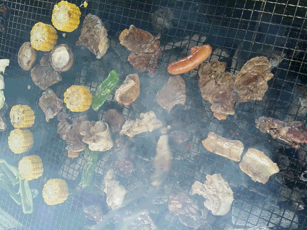 IMG_20160614_122926_2